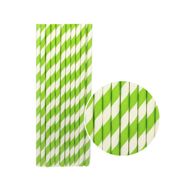 Paper Straws (Stripe Light Green)