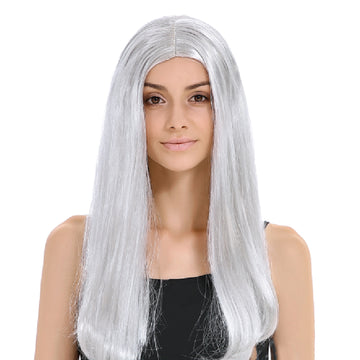 Silver Sleek Long Wig