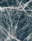 Thick Spider Web Decoration (50g)