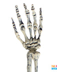 Halloween Skeleton Hand Garden Stake