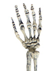 Halloween Skeleton Hand Garden Stake