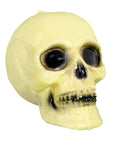 Plastic Skull Decoration