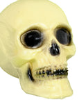 Plastic Skull Decoration