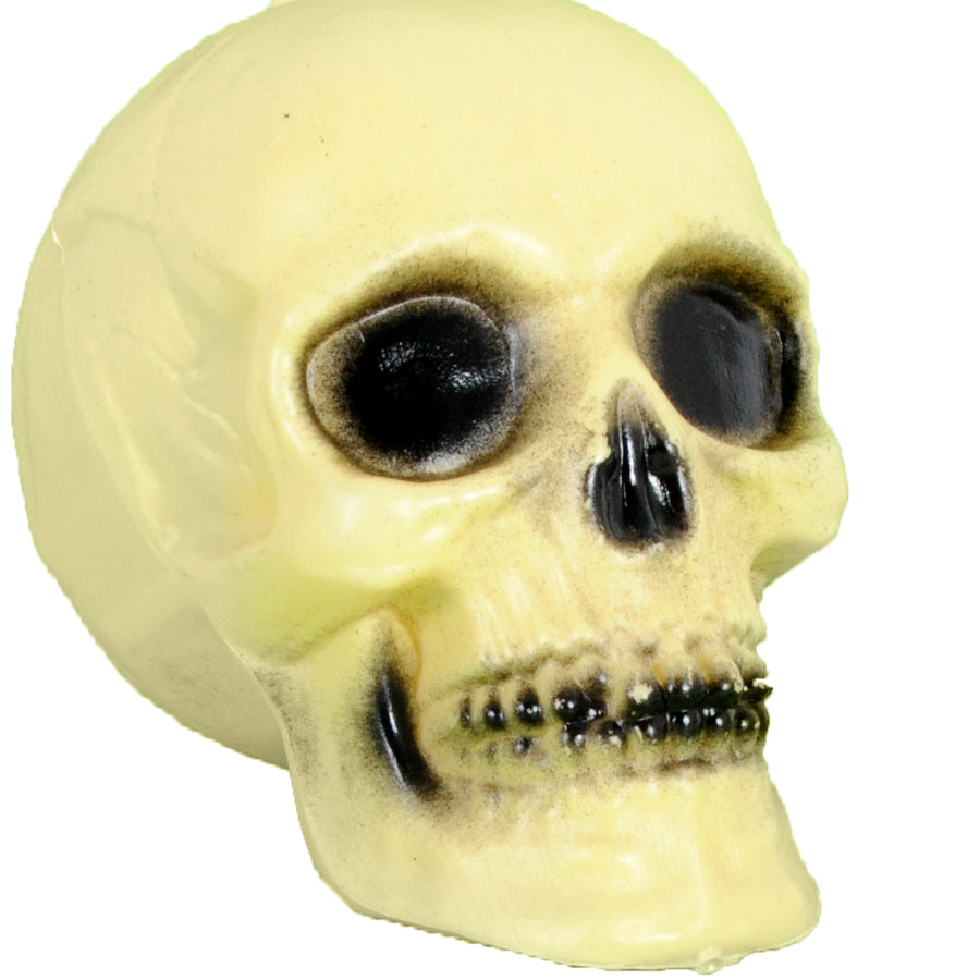 Plastic Skull Decoration