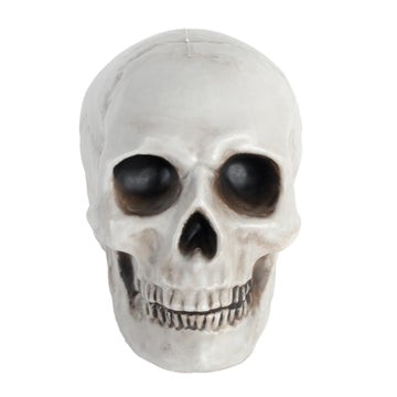 White Skull Prop (12x18cm)