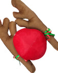 Reindeer Car Accessory Kit