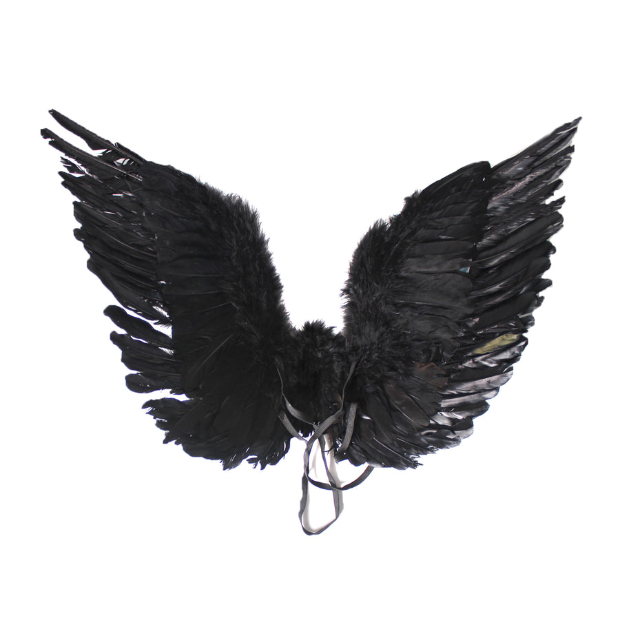 Dark Angel Wings