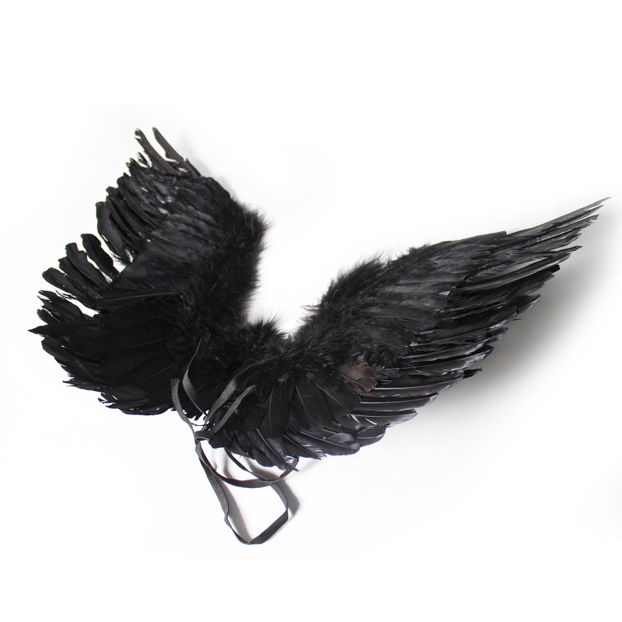 Dark Angel Wings