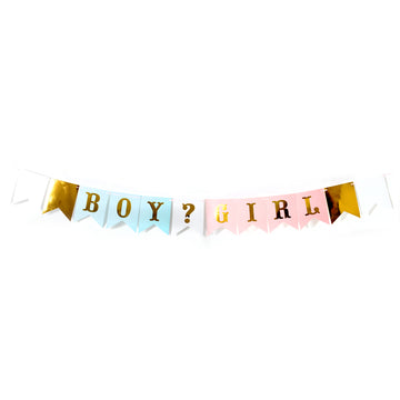 Boy or Girl Bunting Garland