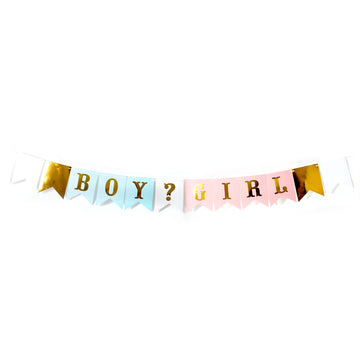 Boy or Girl Bunting Garland