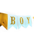Boy or Girl Bunting Garland
