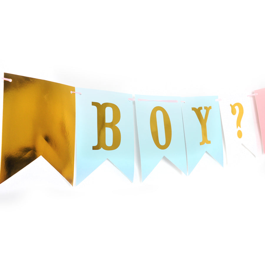 Boy or Girl Bunting Garland